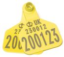 Replacement Cattle Tag